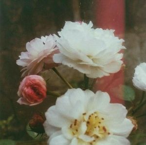 Meet your Posher, Jordyn